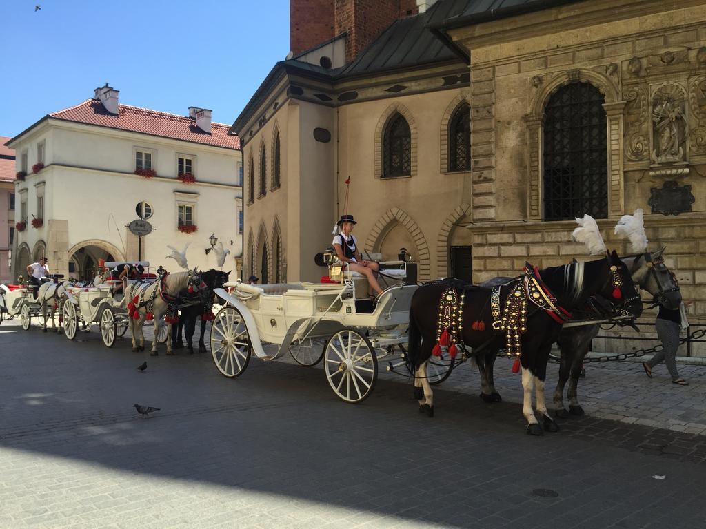 Krakow Apartments - Friedleina Studio Apartments Rom bilde